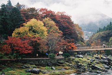 紅葉　　ＩＮ　　御岳渓谷　　　第３弾