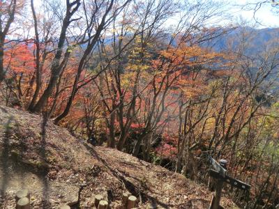 2018秋　紅葉　伊豆ヶ岳～子ノ権現ハイキング