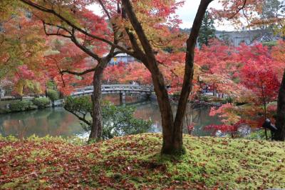 京都・さんぽ地図の旅　③紅葉の永観堂～野村碧雲荘前