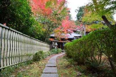 朝早く通天橋から光明院そして泉涌寺から金戒光明寺へ紅葉めぐり！2018年