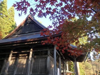 秋の湖北　もみじ旅　～浅井氏の小谷城と鶏足寺を巡る～