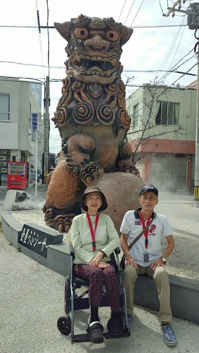 車椅子の妻と　第21弾 ダイヤモンド・プリンセス名古屋発着