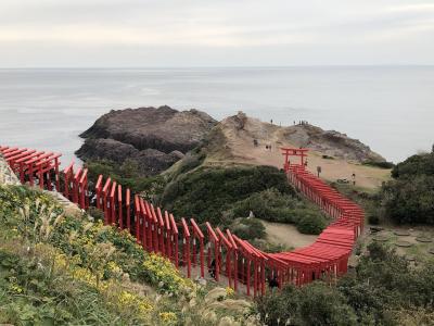 1年ぶりだね　松葉かに　最終日