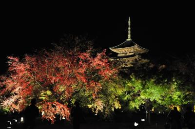 京都2018紅葉巡り（1）