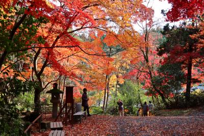 紅葉の名所、石油王の館を訪ねて・・・