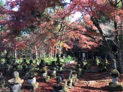 道隆寺跡に紅葉を