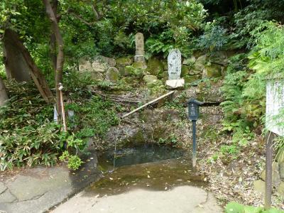 大山街道ウオーク①　鷺沼～荏田宿