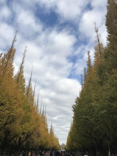 11月の東京 横浜  ごはんとホテル