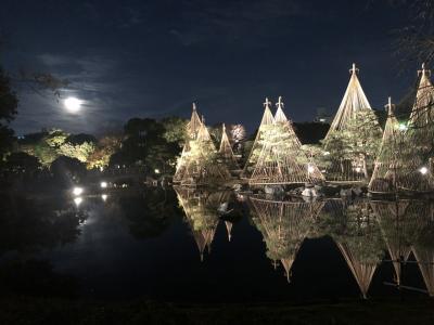 白鳥公園の雪吊りライトアップ
