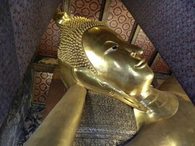 アユタヤ「世界遺産」に関する旅行記・ブログ(7ページ)【フォー アユタヤ「世界遺産」に関する旅行記・ブログ(7ページ)【フォー