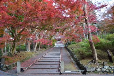 毘沙門堂の紅葉から歩いて大文字山そして銀閣寺前へ！2018年