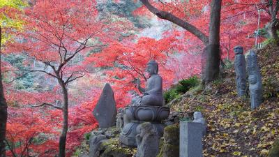 紅葉と雨降山大山寺