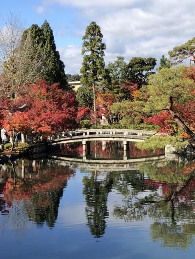 晩秋の３連休＋１　栗林公園・小豆島・姫路城・京都紅葉巡り（第３日）