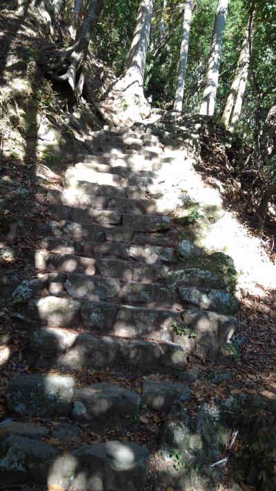 大山登山　どこまでも何時までも続く石段　