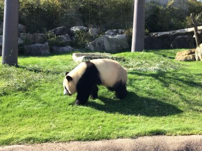 絶景/海鮮/動物  南紀白浜(2)