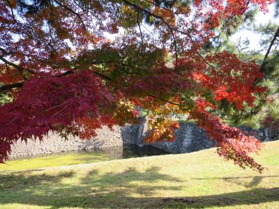 皇居乾通一般公開を歩いてみる
