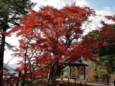 ２０１８年１２月　山口　山口県立美術館で美術展を見ました。亀山公園とサビエル教会の紅葉