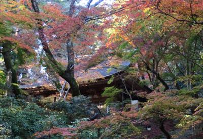 高野山と奈良３社寺の紅葉を見に＜５＞　幽玄の趣き漂う室生寺