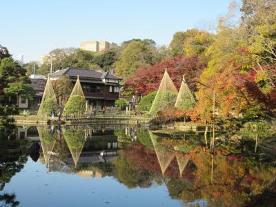 都内の紅葉名所散歩と早大見学　その３「大隈庭園・肥後細川庭園」 2018/12/1