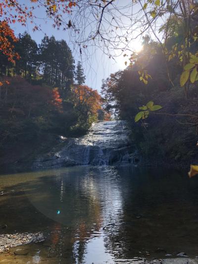 天気が良く、快適でした