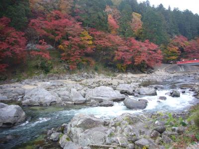 紅葉と絶景を求めて～犬山城・恵那峡・香嵐渓・伊良湖・知多～