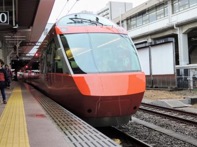 ちょっと変わった(?)上京旅 「新型車両と消えゆく車両」を見てきた・・・