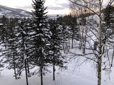 ルスツリゾートホテル２泊、北海道家族スキー旅行！パウダースノー！！