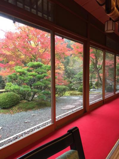11月3連休の京都紅葉旅行。前半大原編。