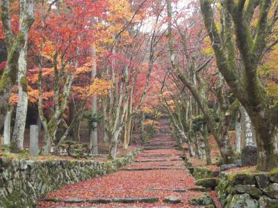 北陸は時雨模様、鶏足寺と與志漏神社