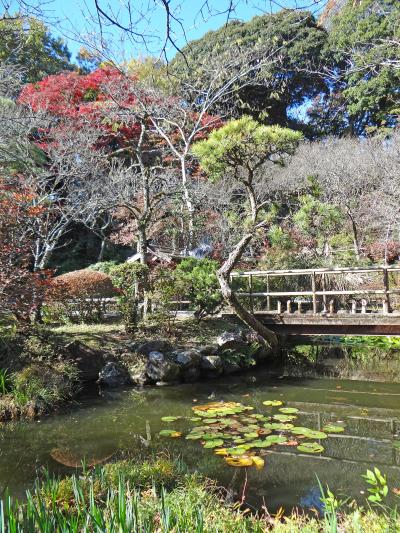 紅葉の日野　百草園