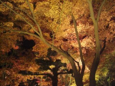 高松 紅葉 に関する旅行記 ブログ フォートラベル 香川県