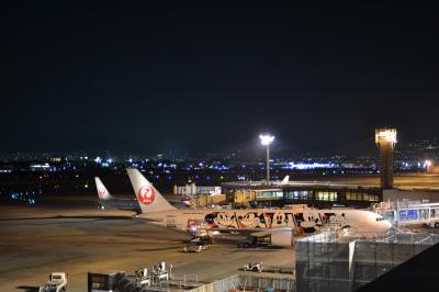 【12年ぶりの大阪へ】(2)大阪観光とJL0138便"JAL国内線ファーストクラス"搭乗記