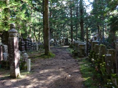 紀伊山地（高野山と吉野）　2018.11.30