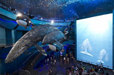 【ロシア】ロシア最大級のプリモルスキー（沿海州）水族館で見た野生のキツネ