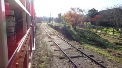 トロッコ列車とボンネットバス・紅葉ハイキングin養老渓谷