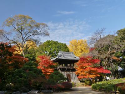 鑁阿寺（ばんなじ）の紅葉_2018（2）_綺麗な紅葉を堪能しました（栃木県・足利市）