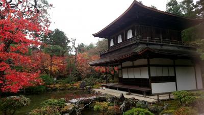 紅葉の京都