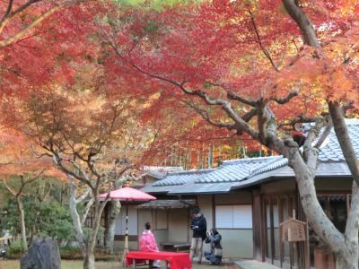 女五人で紅葉を満喫した京都その1