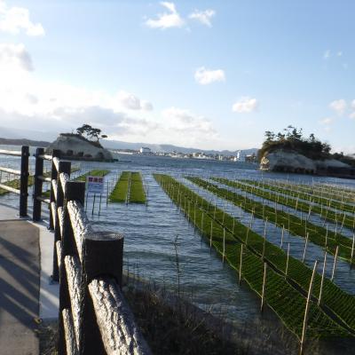 ディン　タイ　ファンに金ちゃんラーメンに松川浦