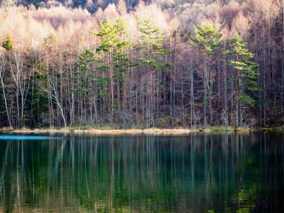 2018年12月 週末温泉旅 in 蓼科 ～ 御射鹿池、「たてしな藍」、尖石縄文考古館