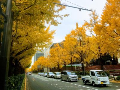 横浜の紅葉