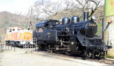 道の駅若桜「桜ん坊」で買い物後若桜駅で若桜鉄道の蒸気機関車C12167と初逢瀬