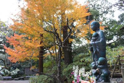 紅葉の日向薬師、静かでした。