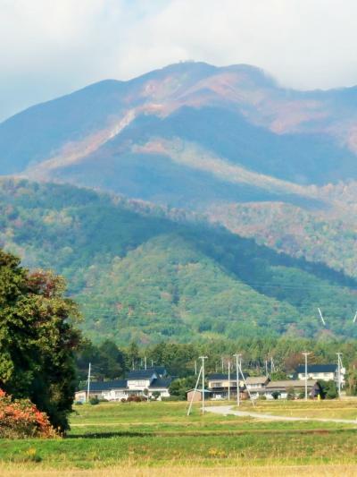 佐渡島25　小木⇒加茂湖畔　国中平野を横断　バス車窓　☆柿園/大佐渡山地見ながら