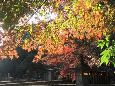 紅葉の平林寺を訪問しました③野火止塚～松平信綱公一族の墓所～山門～金鳳山迄