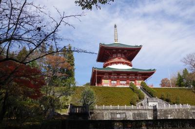 成田山　紅葉