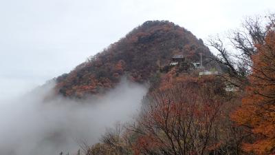 たまには車で／紅葉の金毘羅参りと善通寺・箸蔵寺ほかお寺めぐり２泊３日(^.^)