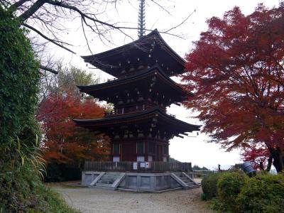 飛鳥時代と奈良時代を巡る 5泊6日のひとり旅【4日目 明日香村②】