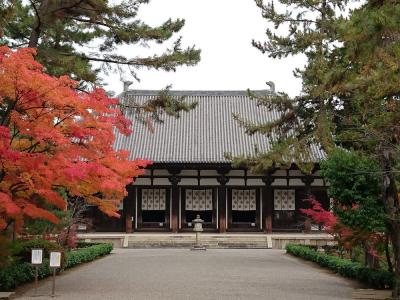 飛鳥時代と奈良時代を巡る 5泊6日のひとり旅【5日目 唐招提寺・薬師寺・正倉院・平城宮跡】