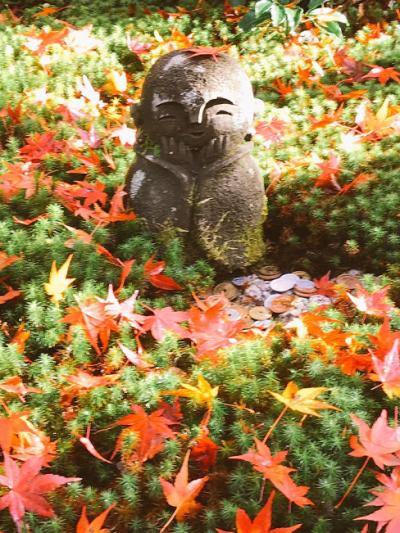 2018年11月　先頭でしか見れない圓光寺の紅葉を見てきた＆大好きなラーメン屋さん